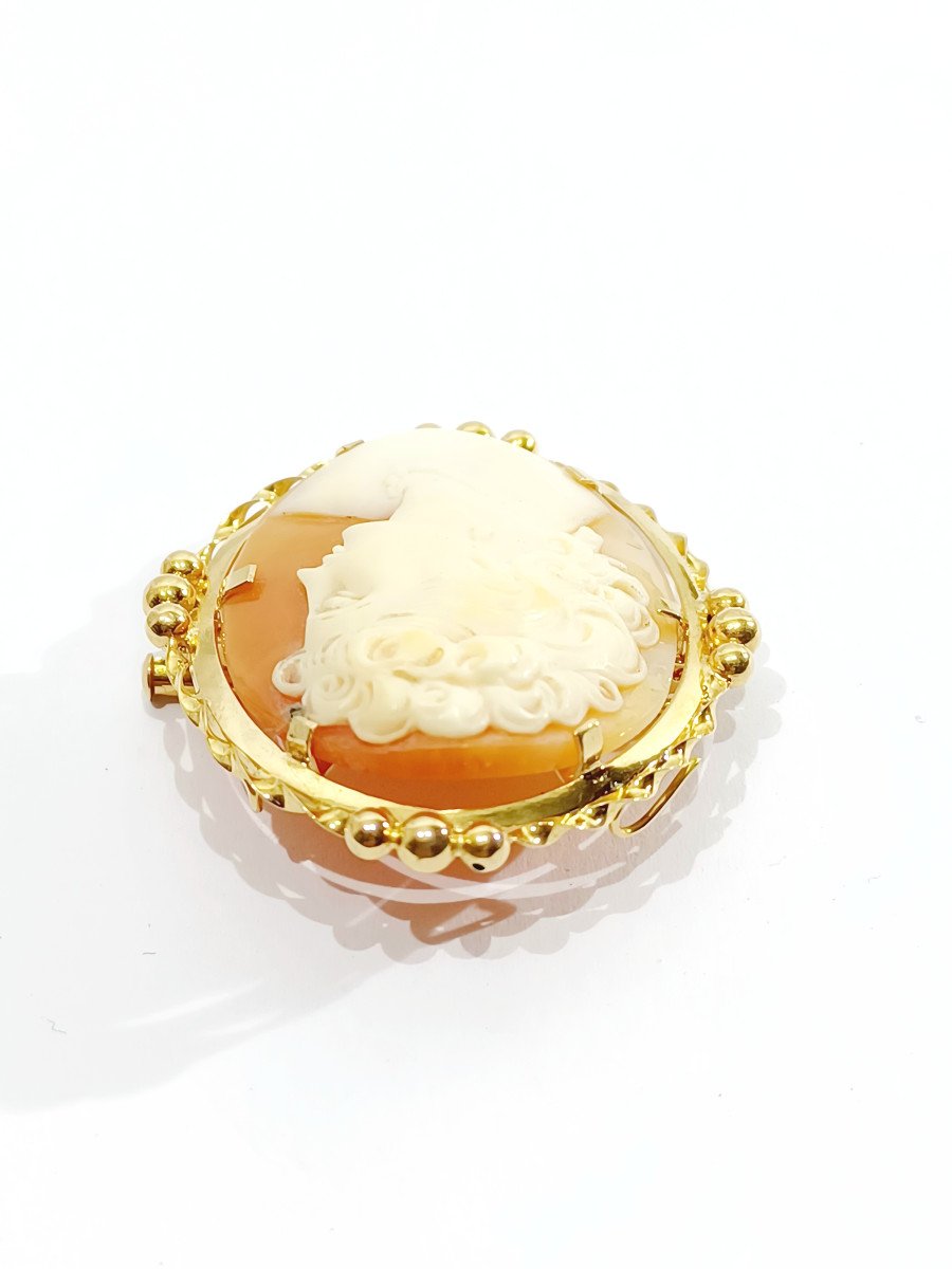 Pendant Brooch Cameo Shell