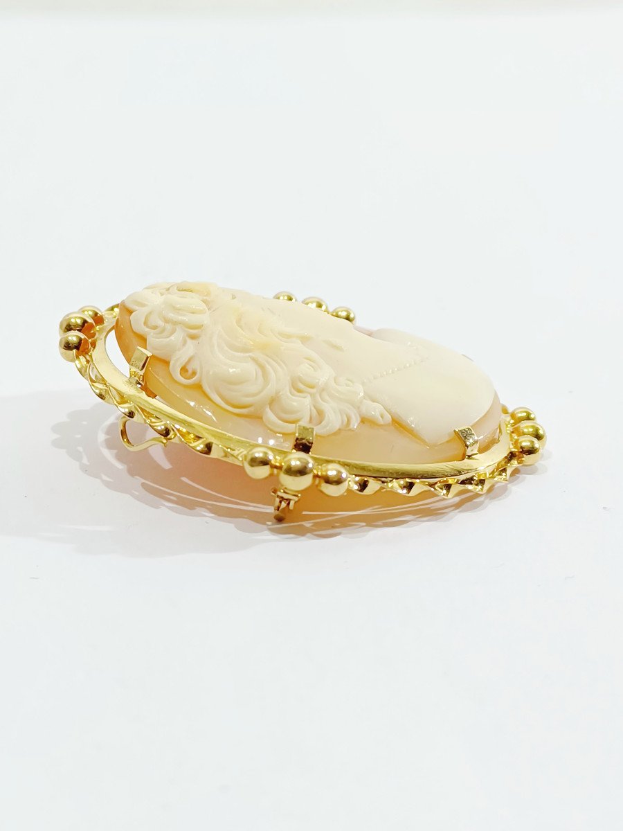 Pendant Brooch Cameo Shell