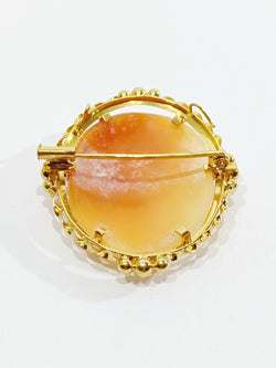 Pendant Brooch Cameo Shell