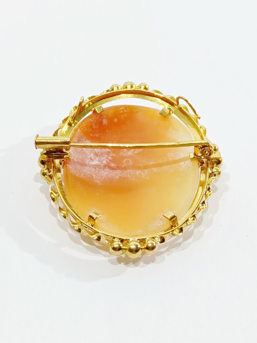Pendant Brooch Cameo Shell
