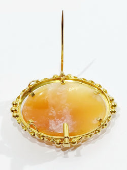 Pendant Brooch Cameo Shell