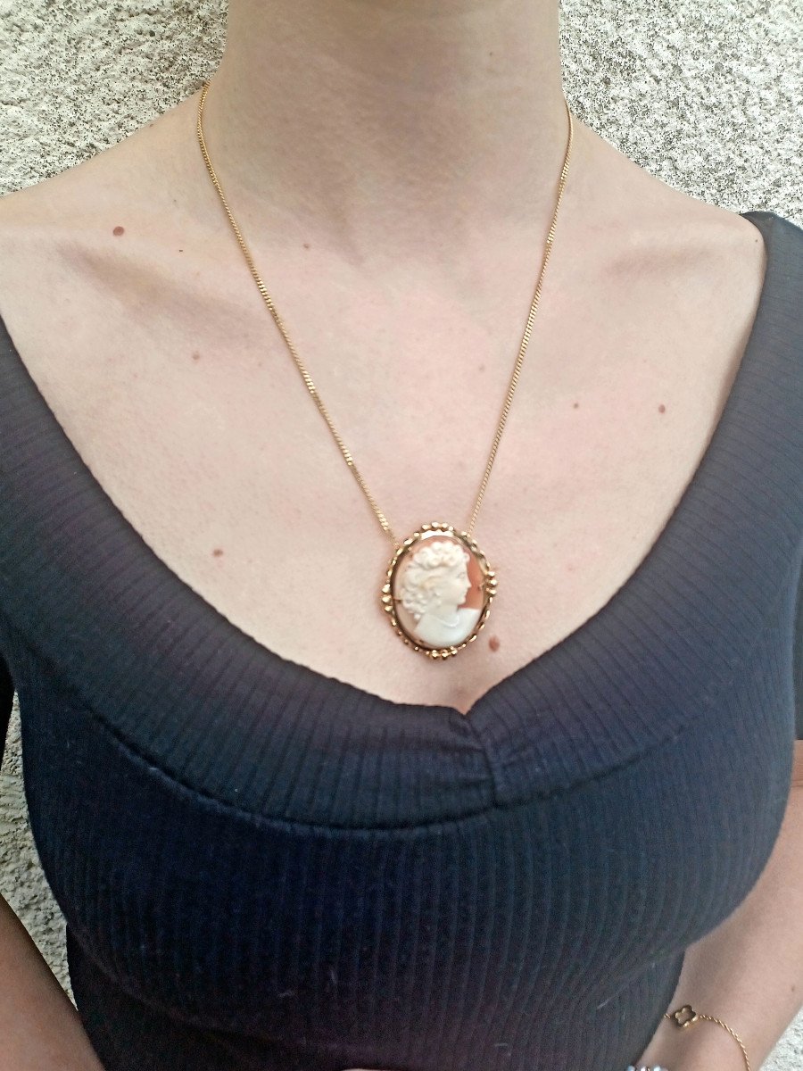 Pendant Brooch Cameo Shell