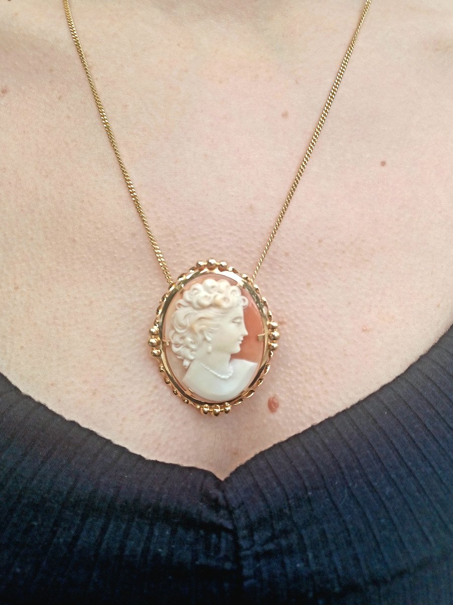 Pendant Brooch Cameo Shell