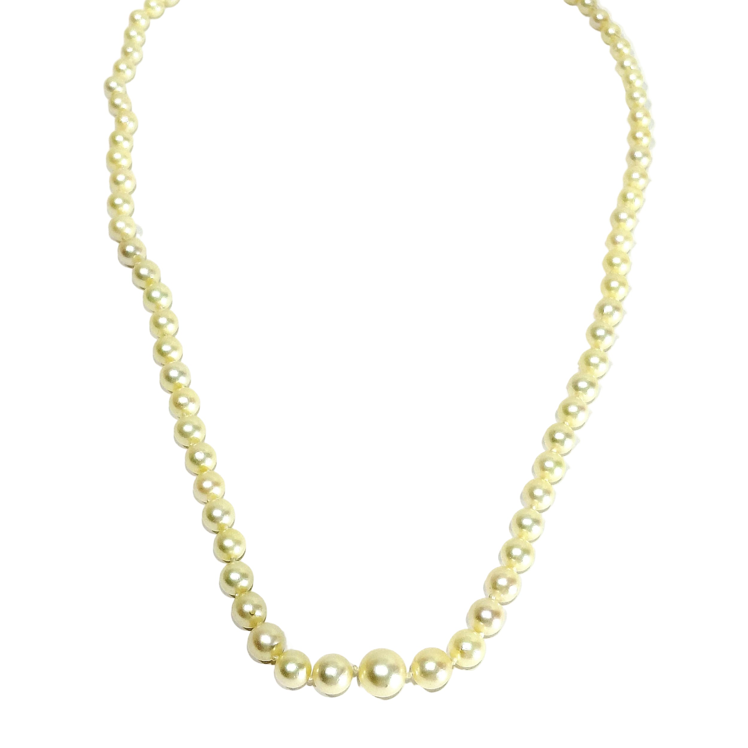 Collier Perles en or blanc et saphir