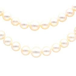 Collier Perles en or blanc et turquoise