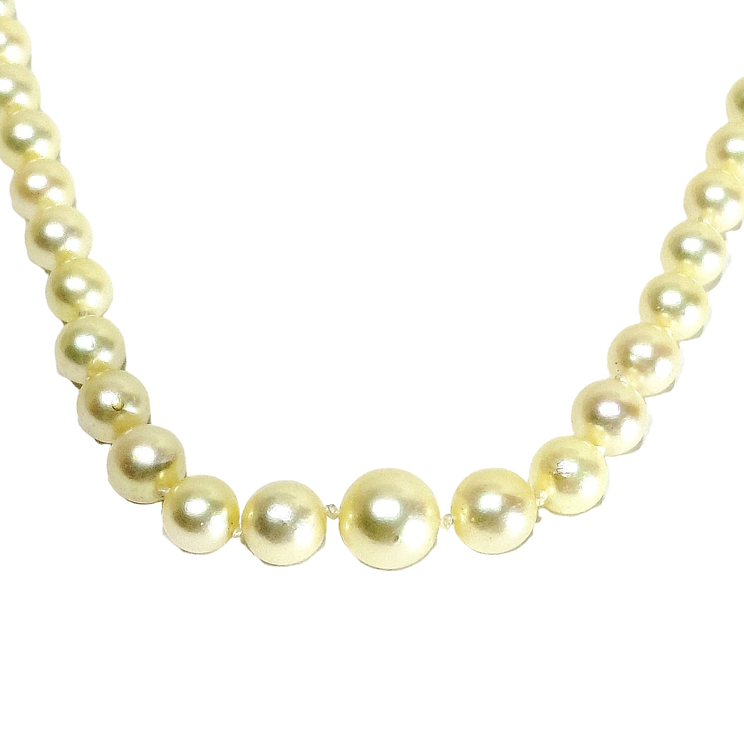 Collier Perles en or blanc et saphir