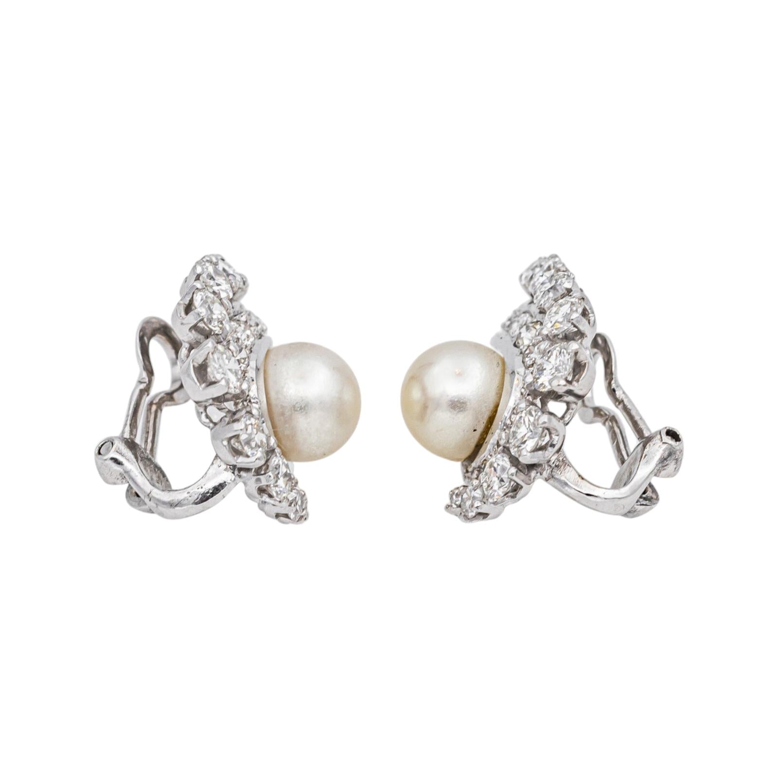 Boucles d'oreilles Or blanc Perle