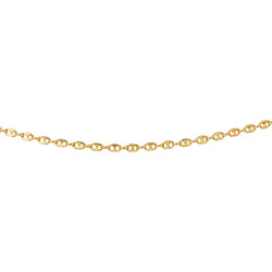 Collier Chaîne en or jaune