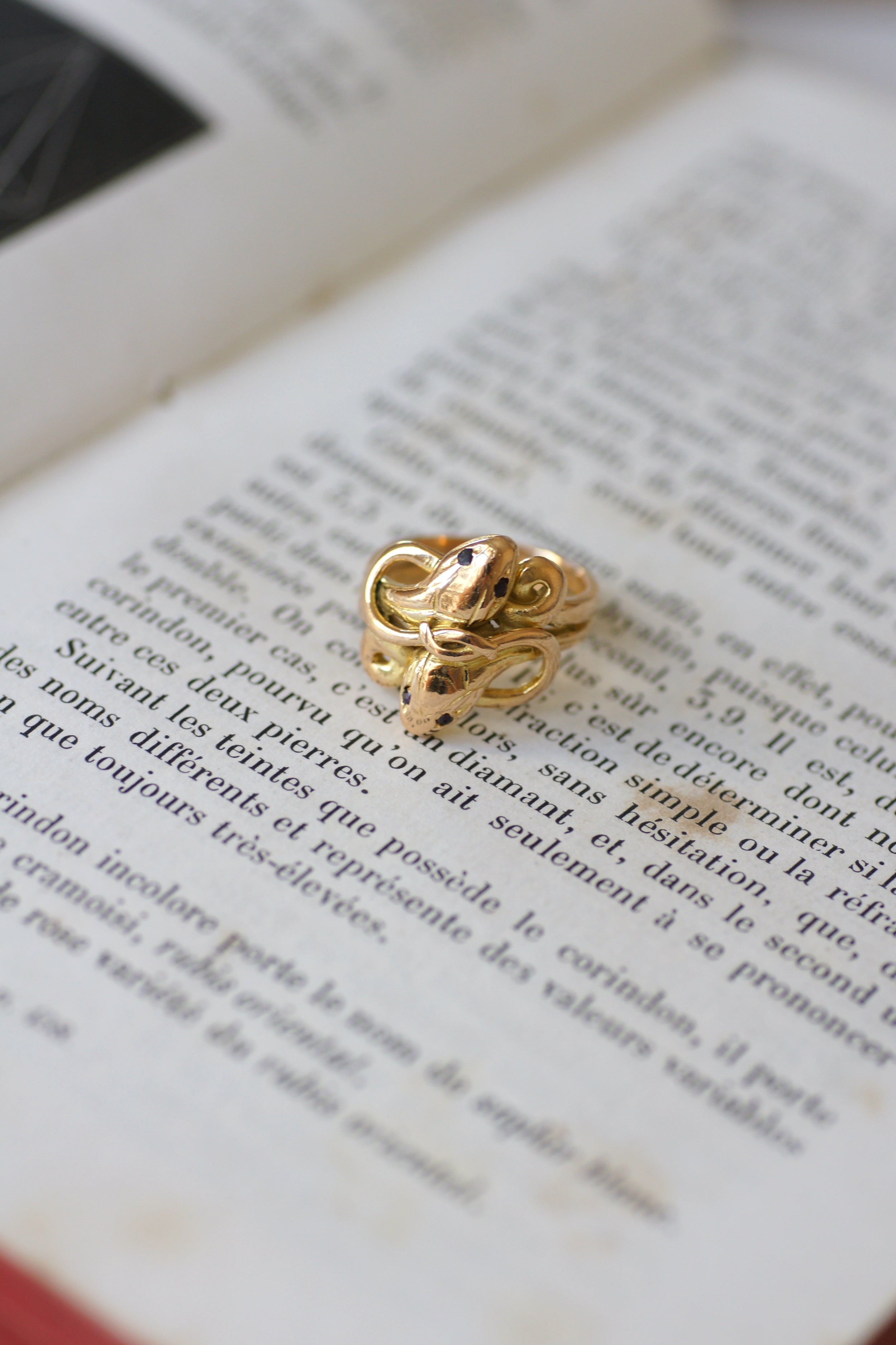 Bague Jonc en or jaune, or rose, et rubis