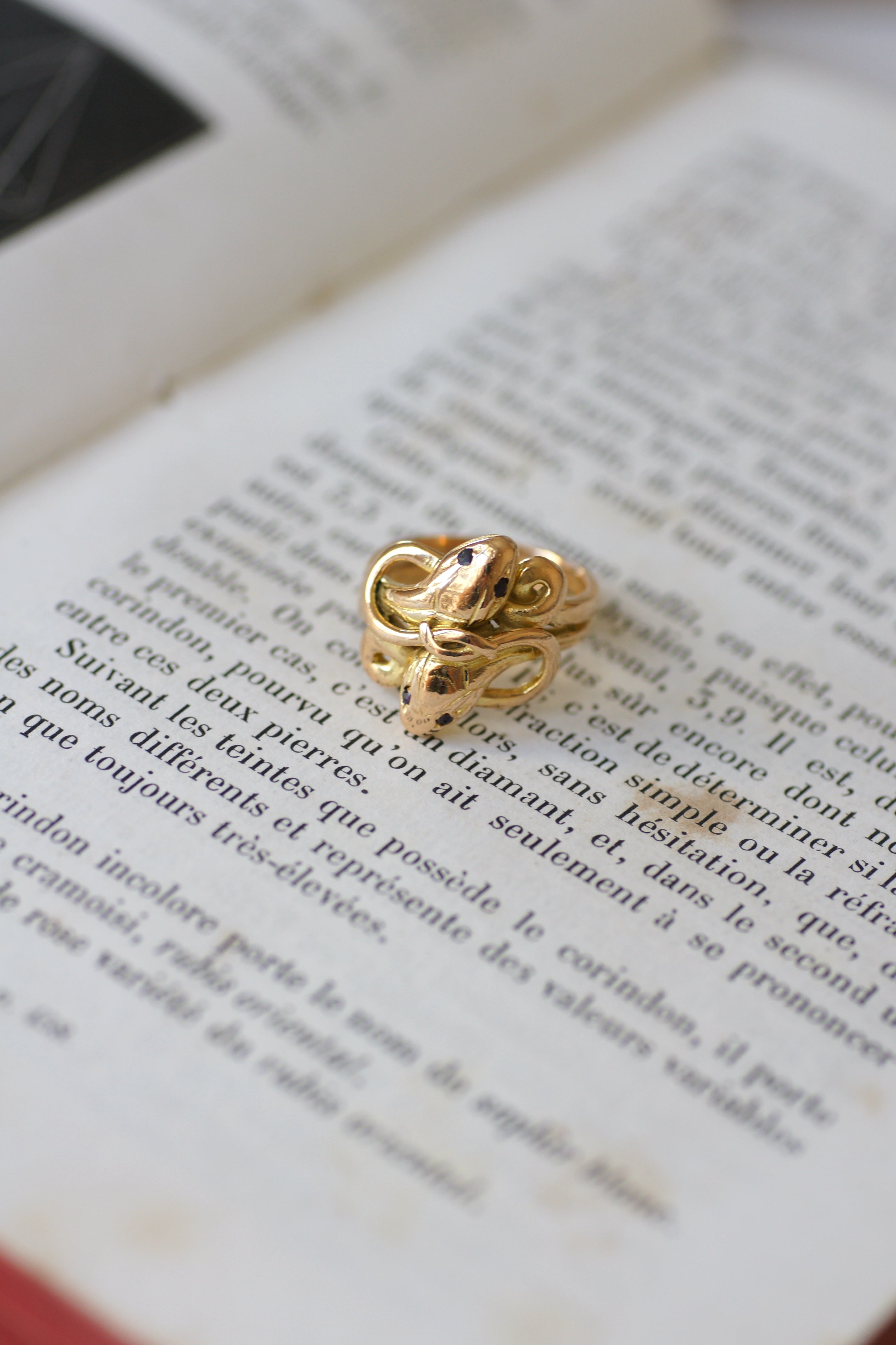 Bague Jonc en or jaune, or rose, et rubis
