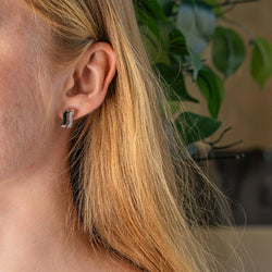 Boucles d'oreilles Puces  Or blanc  Diamant