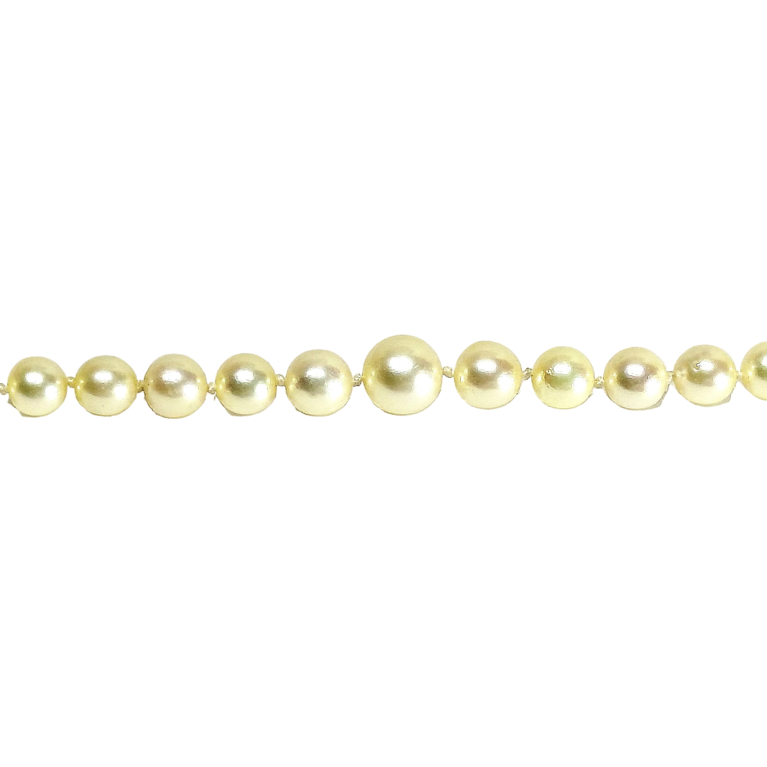 Collier Perles en or blanc et saphir