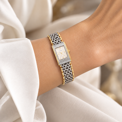 Montre BOUCHERON Reflet de dame en or jaune et acier