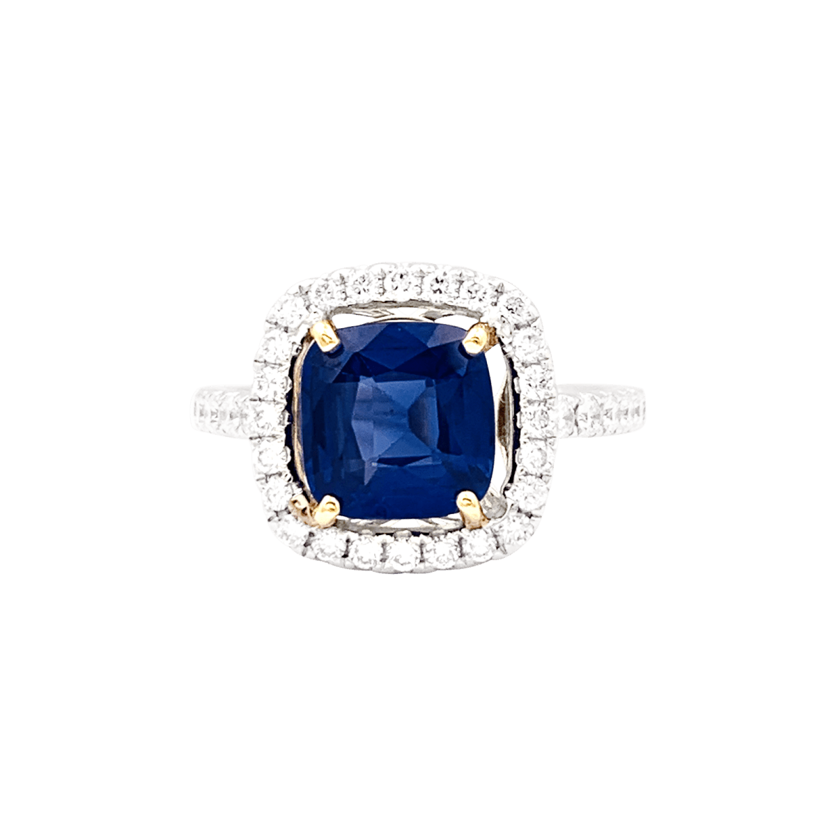 Bague en or blanc, or jaune, saphir et diamants - Castafiore