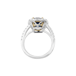 Bague en or blanc, or jaune, saphir et diamants - Castafiore