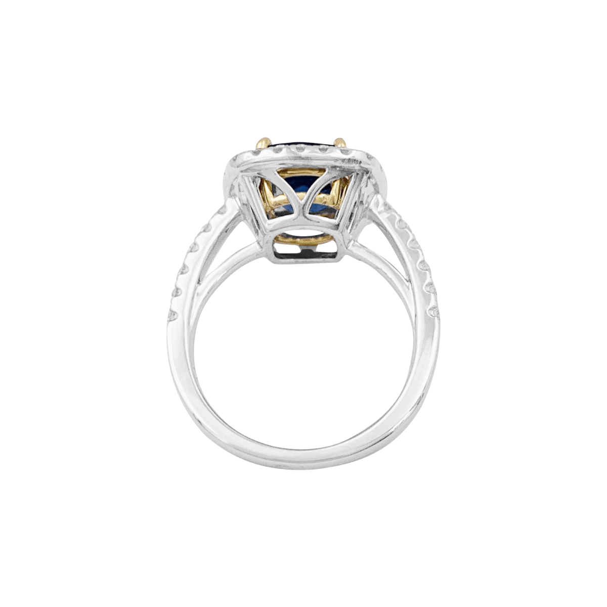 Bague en or blanc, or jaune, saphir et diamants - Castafiore