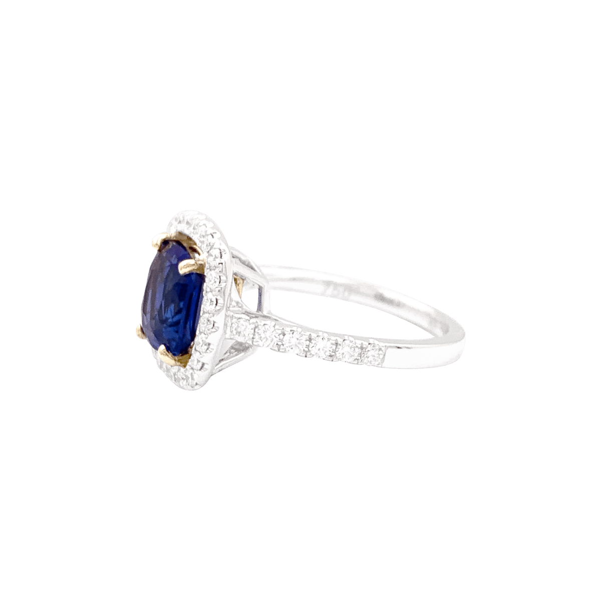 Bague en or blanc, or jaune, saphir et diamants - Castafiore