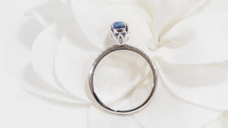 Bague en or blanc, saphir ovale et diamants - Castafiore