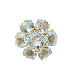 Bague en or jaune et aigue - marine - Castafiore