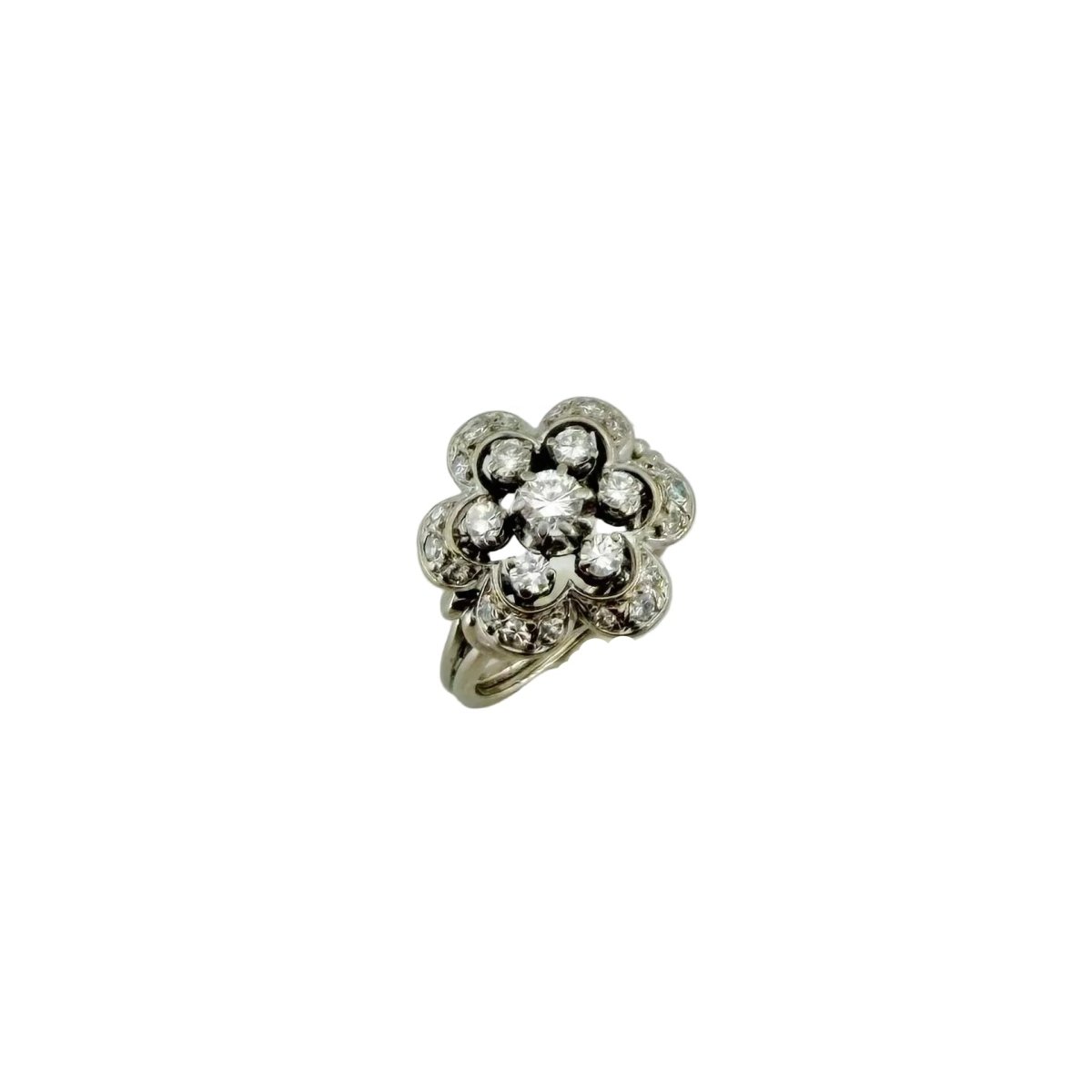 Bague Entourage en or blanc, platine et diamants - Castafiore
