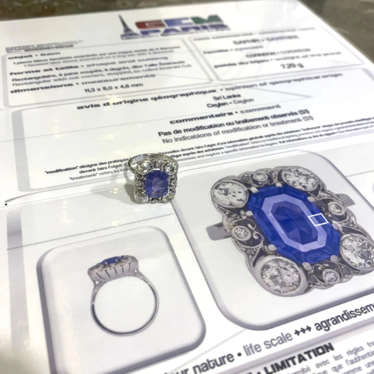 Bague Entourage en or blanc, platine, saphir et diamants - Castafiore