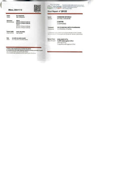 Bague Jonc platine, saphir et diamant - Castafiore