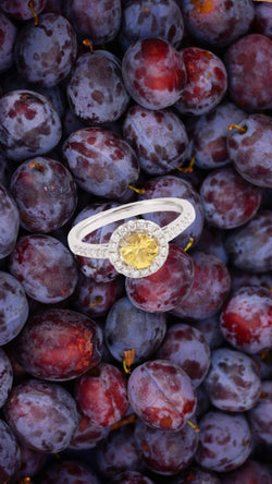 Bague Marguerite Saphir Jaune Carats Diamants Or Gris 18 Carats - Castafiore