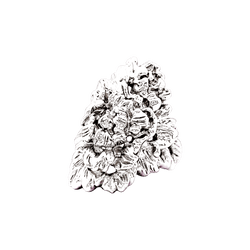 Bague REPOSSI "Nérée" PM en or blanc - Castafiore