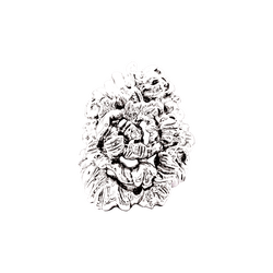 Bague REPOSSI "Nérée" PM en or blanc - Castafiore