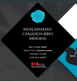 Bague solitaire de la maison Birks CANADA - Castafiore