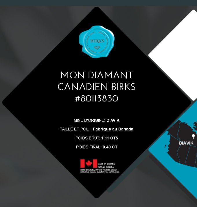 Bague solitaire de la maison Birks CANADA - Castafiore