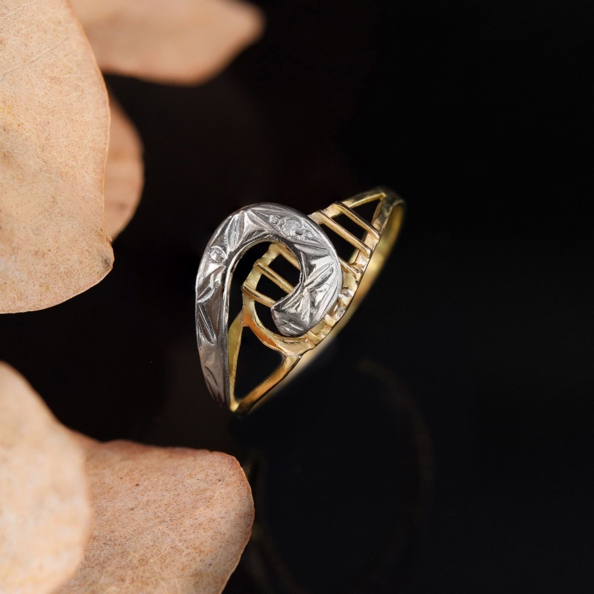 Bague virgule en or jaune et or blanc et diamant - Castafiore
