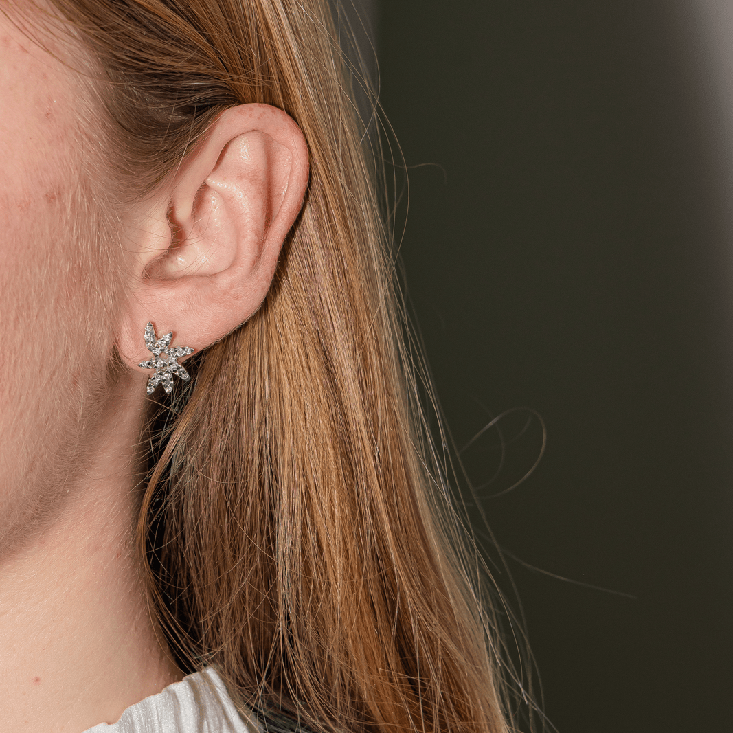 Boucles d'oreilles Clous en or blanc et diamant - Castafiore