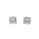 Boucles d'oreilles Puces Or blanc Diamant - Castafiore