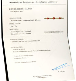 Broche Barrette en platine, or jaune, rubis, et diamants - Castafiore