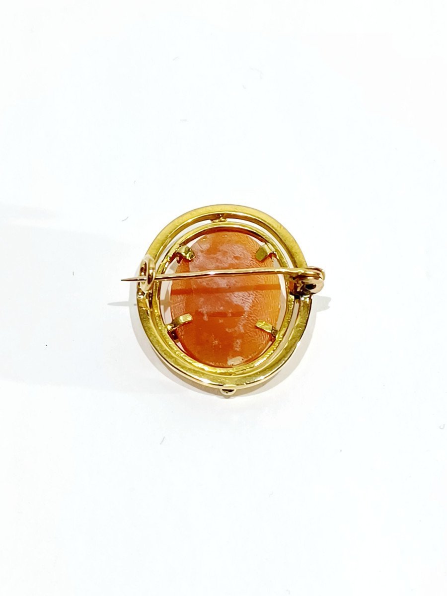 Broche camée coquillage - Castafiore