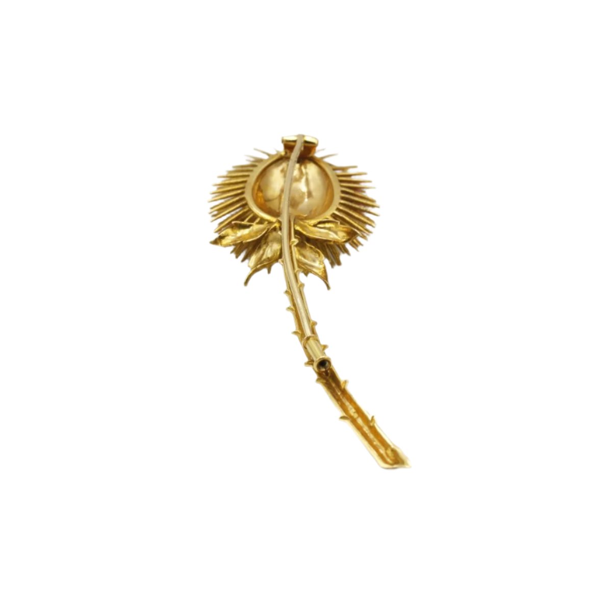 Broche Chardon en Or jaune - Castafiore