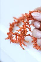 Collier branche corail fermoir or rose - Castafiore