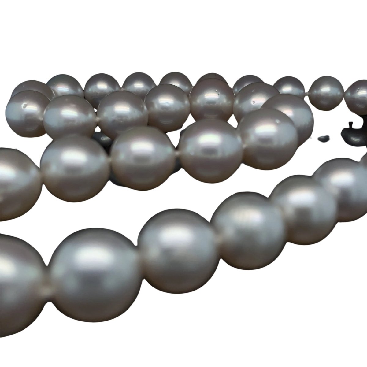 Collier de perles blanches d'Australie - Castafiore