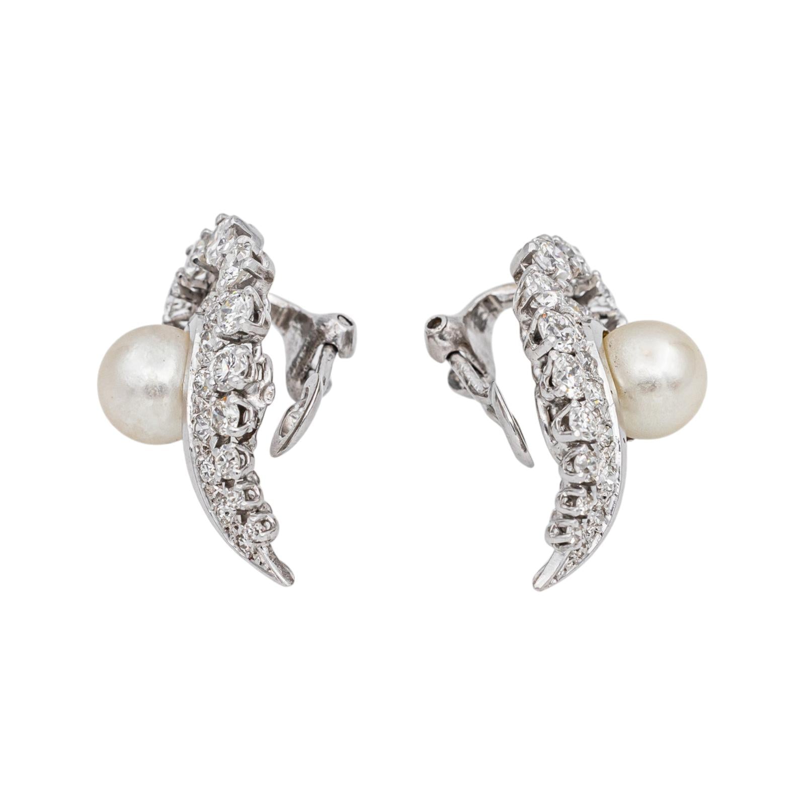 Boucles d'oreilles Or blanc Perle