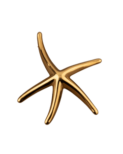 Elsa Peretti pour Tiffany & Co. Broche Etoile de mer en or 18K - Castafiore
