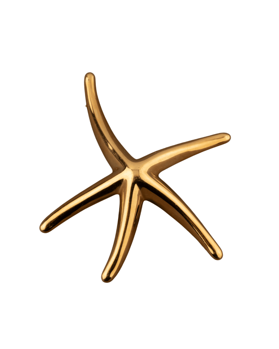 Elsa Peretti pour Tiffany & Co. Broche Etoile de mer en or 18K - Castafiore