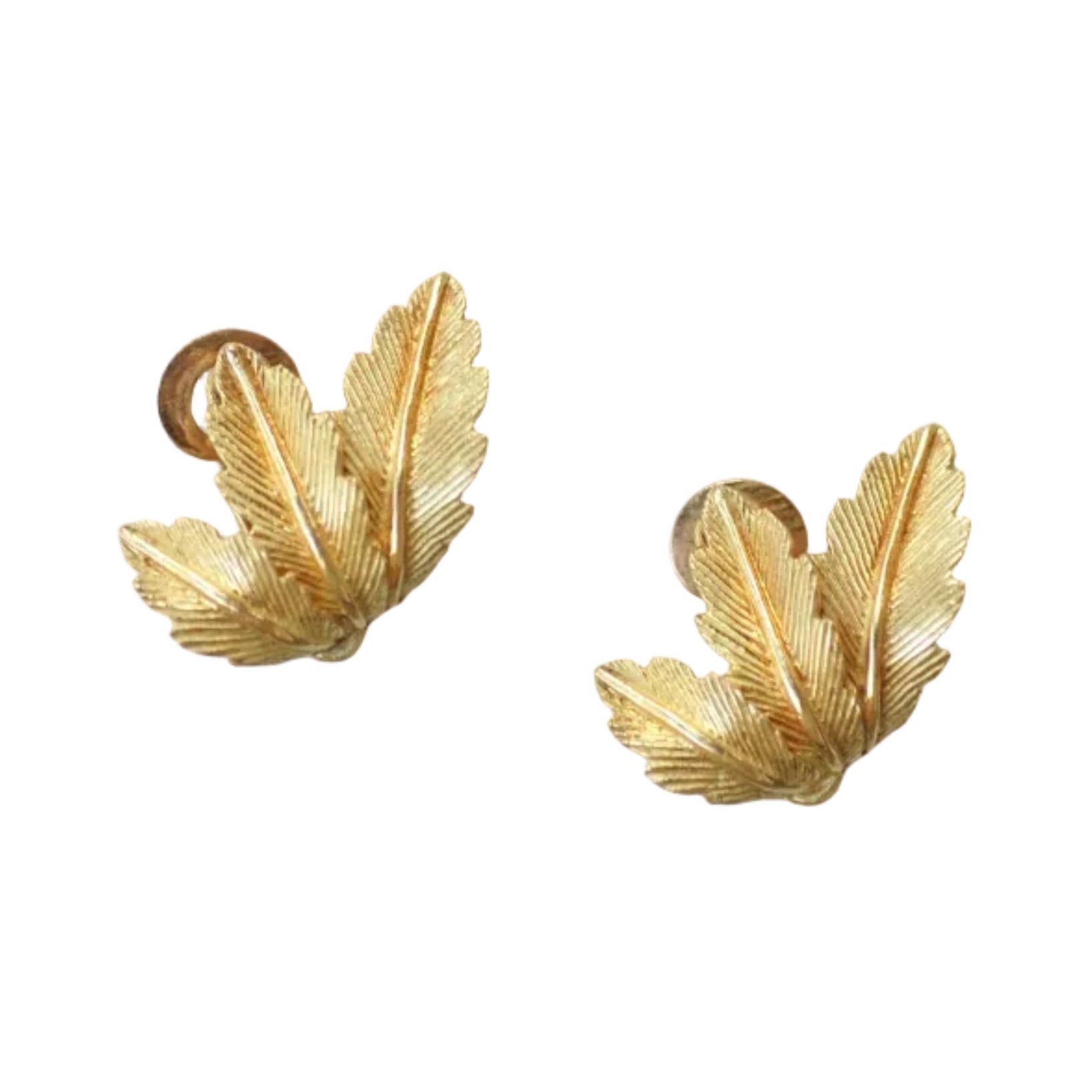 Boucles d'oreilles Clips en or jaune