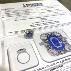 Bague Entourage en or blanc, platine, saphir et diamants