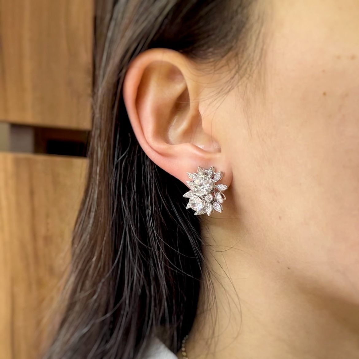 Earrings - Gold, Platinum &amp; Diamonds