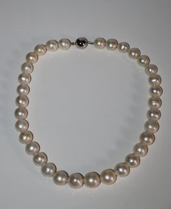 Large Cream Cultured Pearl Necklace