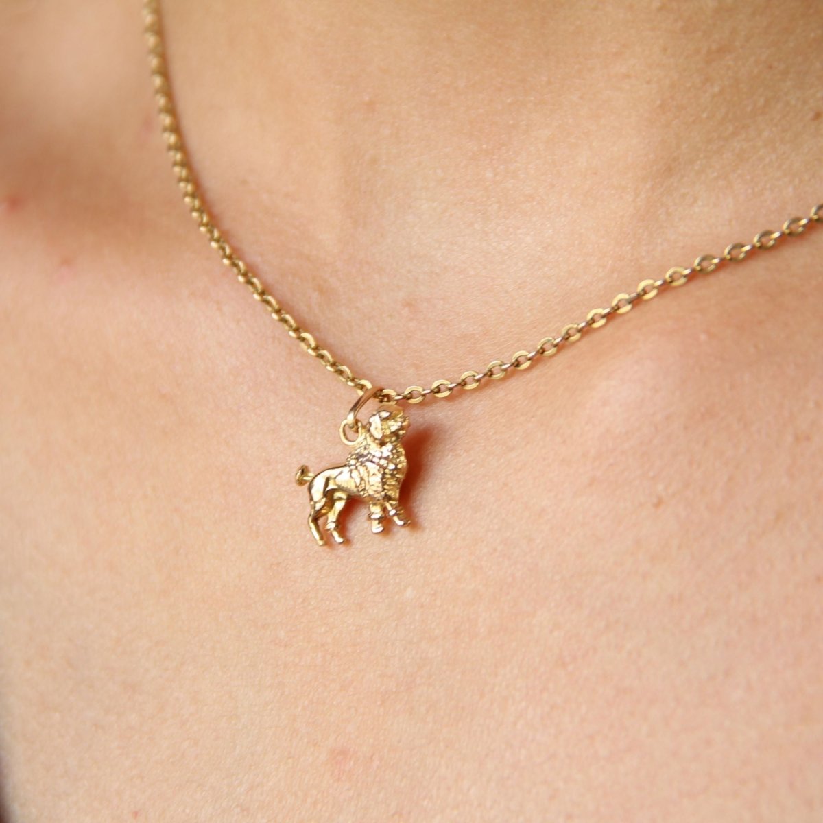 Pendentif caniche en or jaune - Castafiore