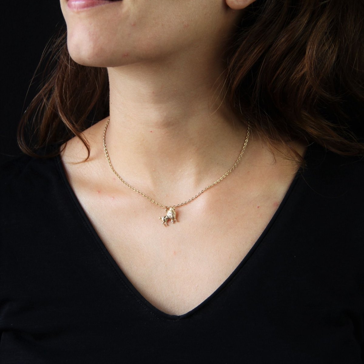 Pendentif caniche en or jaune - Castafiore