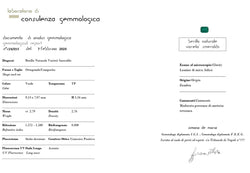 Victorian Certificate Emerald Diamond Gold Drop Earrings, 1900s - Castafiore