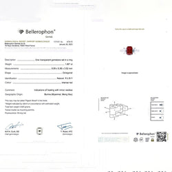 Bague en deux ors, rubis et diamants - Castafiore